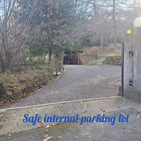 La Dependance Immersa Nel Parco Della Villa Isabella สเตรซา ภายนอก รูปภาพ