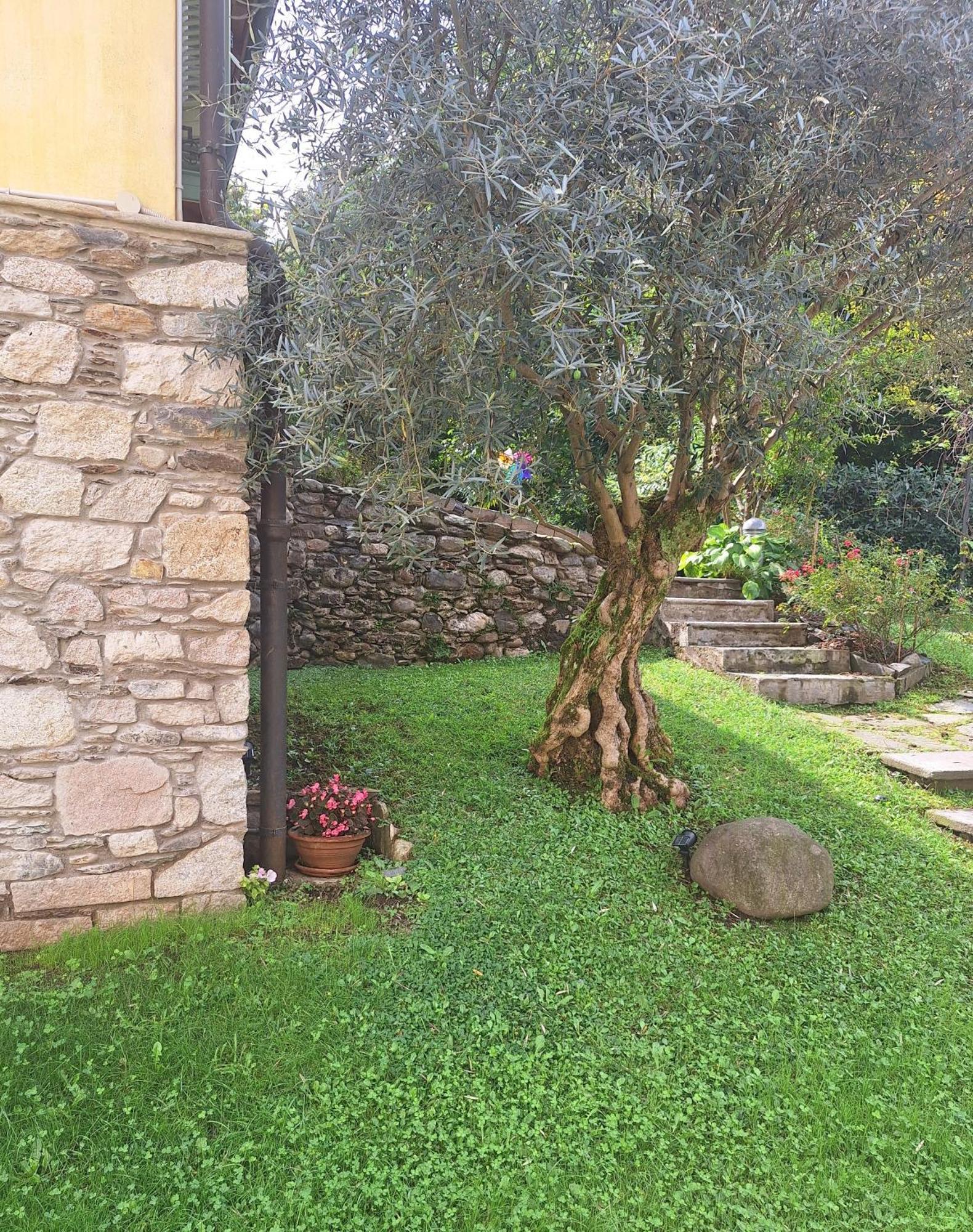 La Dependance Immersa Nel Parco Della Villa Isabella สเตรซา ภายนอก รูปภาพ